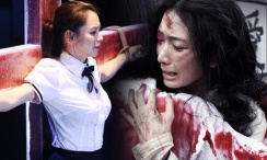 拍拍视频